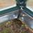 Edgecumbe 8.5 Ft W X 6.5 Ft D Hobby Greenhouse