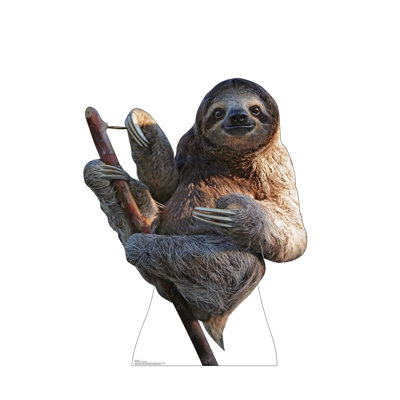 Accroche en carton sloth
