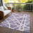 Machine Washable Indoor/Outdoor Chayden ACN1040 Rug-906480316