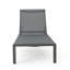 Chaise longue tendance pour l'extérieur-212411869-212411870