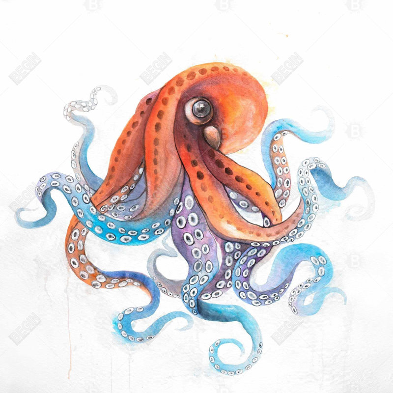 " Funny Colourful Octopus "
