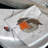 Disposable Paper Napkins