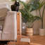 Grattoir à chat, grattoir en forme de T pour chats d'intérieur, protecteur de meuble à double face pour chat, grattoir à chat en carton avec balle