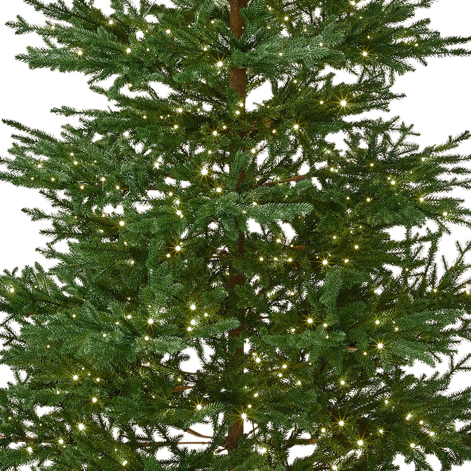 Stennis Christmas Tree