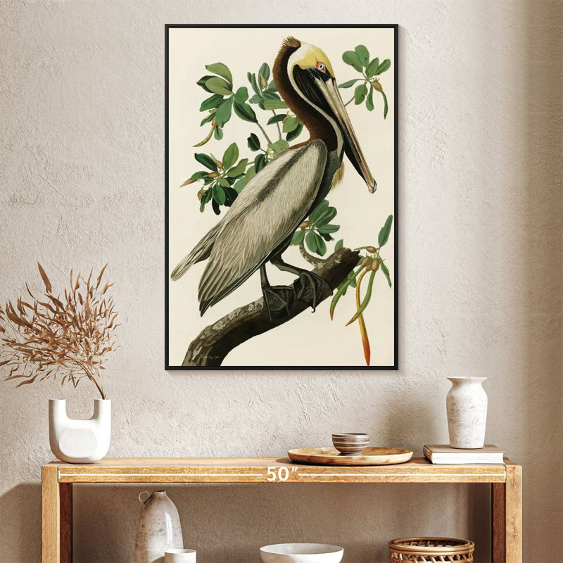 Pélican Audubon, Cadre flottant noir, 27 po x 40 po