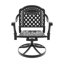 All-Weather Cast Aluminum Dining Set, Include Swivel Chairs And 48.03" Round Table With Black Frame-804930312