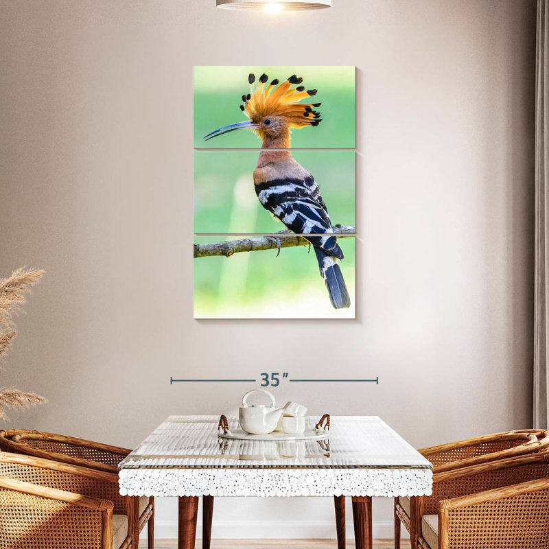Brampt Common Hoopoe, 45" H x 28" W