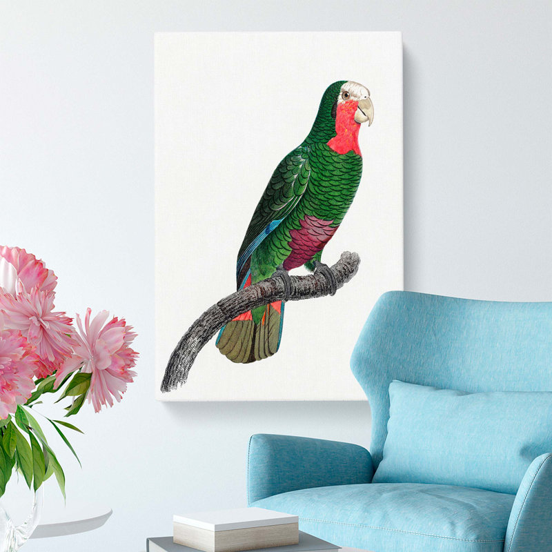 A Cuban Parrot by F. Levaillant - Wrapped Canvas Painting, 60cm H x 40cm W x 3cm D