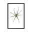 « spider », impression sur toile tendue-22641380-72707429-72707430