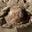 Decorative Stone Decorative Object-2033753983