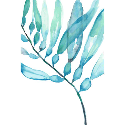Aquarelle varech II
