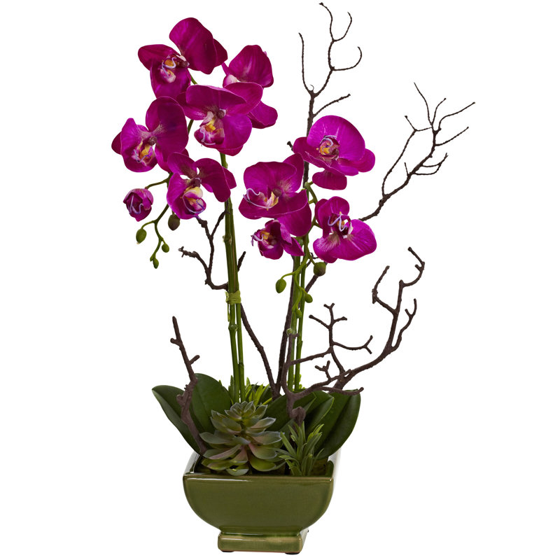 Arrangement in Planter
