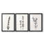 Encre botanique croquis VII - reproduction encadrée sur mesure de qualité supérieure - 3 pièces-775041589-775041579