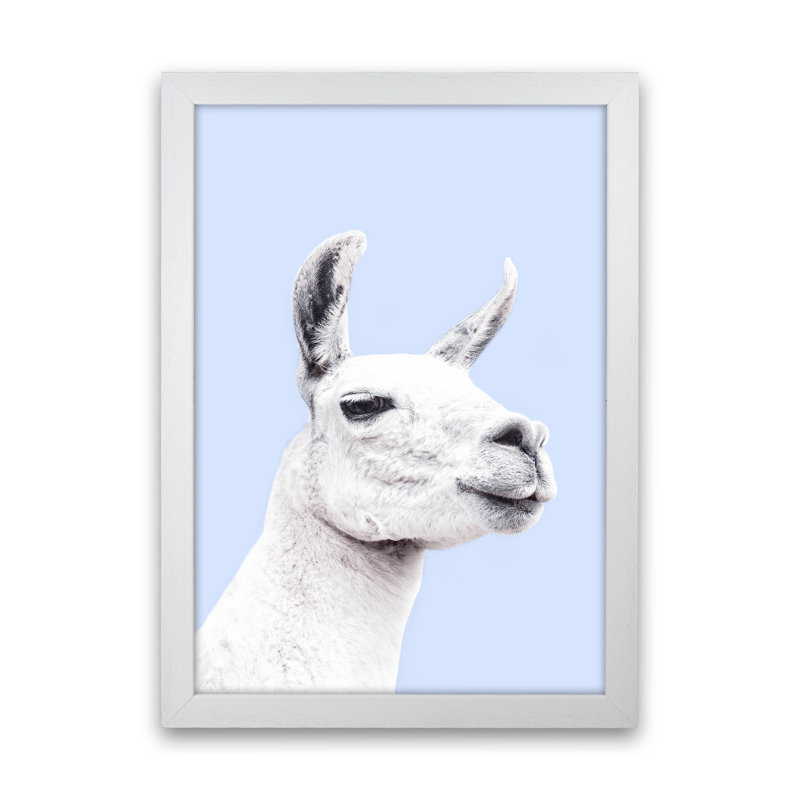 Blue Llama by Victoria Frost - Print, White Framed, 46cm H x 34cm W x 3cm D