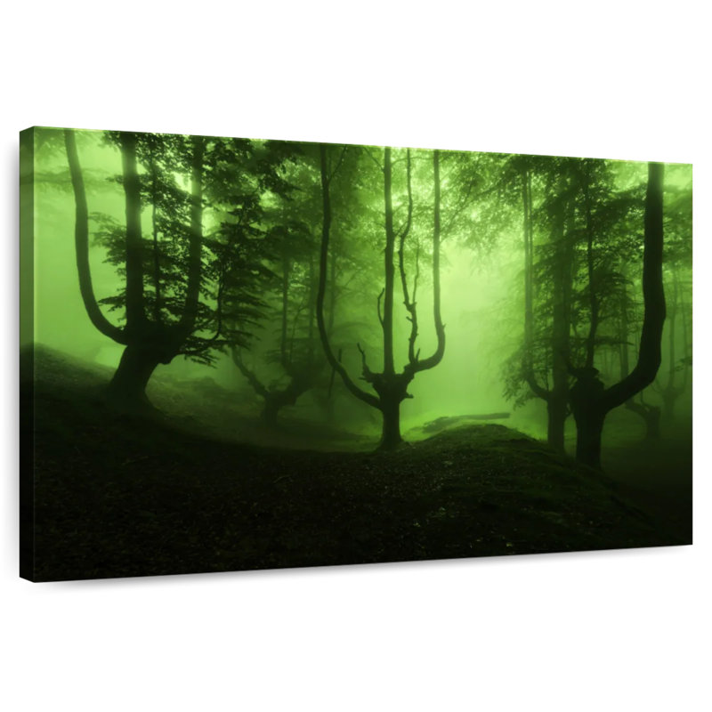 Misty Green Forest, 24" H x 36" W