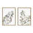 Sylvie Botanical Soft Splitfern and Botanical Soft Maiden Framed Canvas by Sara Berrenson 2 Piece