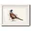 Pheasant Splash 5 - reproduction d'un seul cadre photo-1946987690-1946987684
