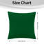 Aspire Homeware Striped Square Velvet Cushion Cover-528166656-526461366