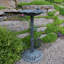 Bain d'oiseaux Ditmas Frog-1494633923