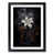 Black Framed