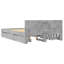 Storage Bed-58558660-58558670