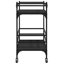 Newlon Metal Bar Cart-2120212662
