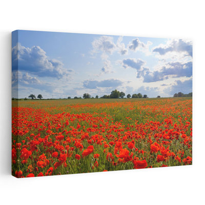 Poppies In A Field Norfolk England Abstract Contemporary Poppy Flower Landscape Art