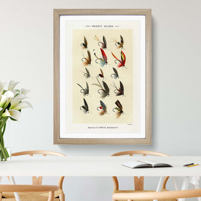 Trout Fishing Flies Version 3 by Mary Orvis Marbury - Framed Print
