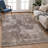 Machine Washable Indoor/Outdoor Francky ACN2361 Casual Rug-1269327947