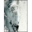 Immerged with Reflection 2 Framed Painting Canvas