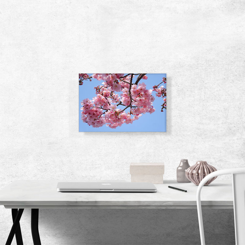 «Cherry Blossom Branch», reproduction de photo sur toile tendue, H 12 po x l 18 po x P 0,75 po