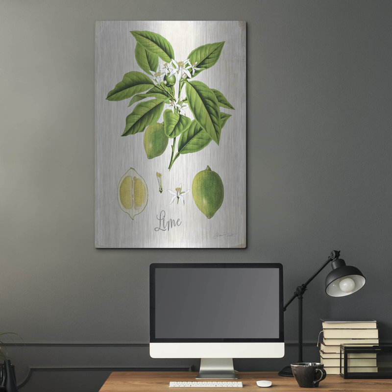 «Vintage Citrus Fruit Study C» par Jean Plout, art mural en métal, 36" H x 24" W