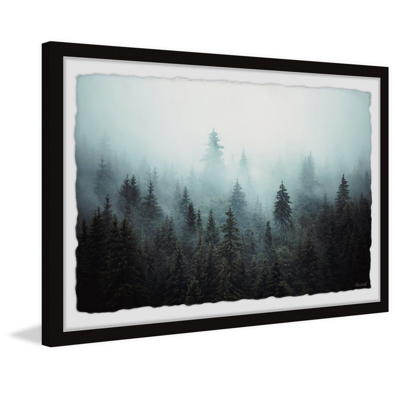 Foggy Pine Forest - Print, 41cm H x 61cm W x 3.81cm D, Black Picture Frame Paper