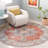 Rashab Performance Machine Washable Oriental Rug-264850179