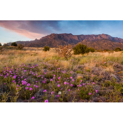 Nature Landscape Sunset by Amygdala_imagery - No Frame Print on Canvas