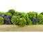 Sedum and Moss Arranged in Wood Planter-1619821989