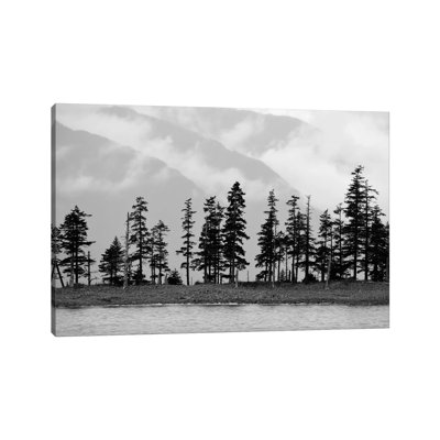 Pines On Beachfront By Savanah Plank - Wrapped Canvas Photograph by Savanah Plank - Wrapped Canvas Print