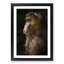 Mandrill Monkey in Abstract - Framed Print-55770785-55770789
