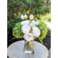 Arrangement d'hortensias verts dans un vase