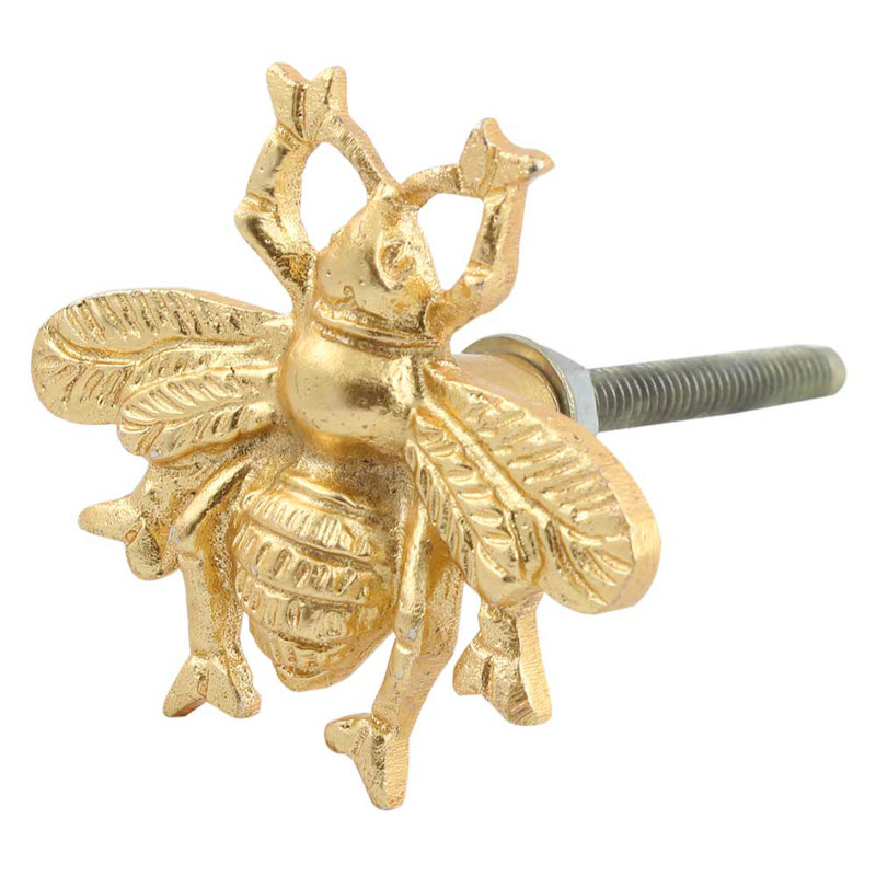 1 5/8" Length Novelty Knob Multipack, Gold