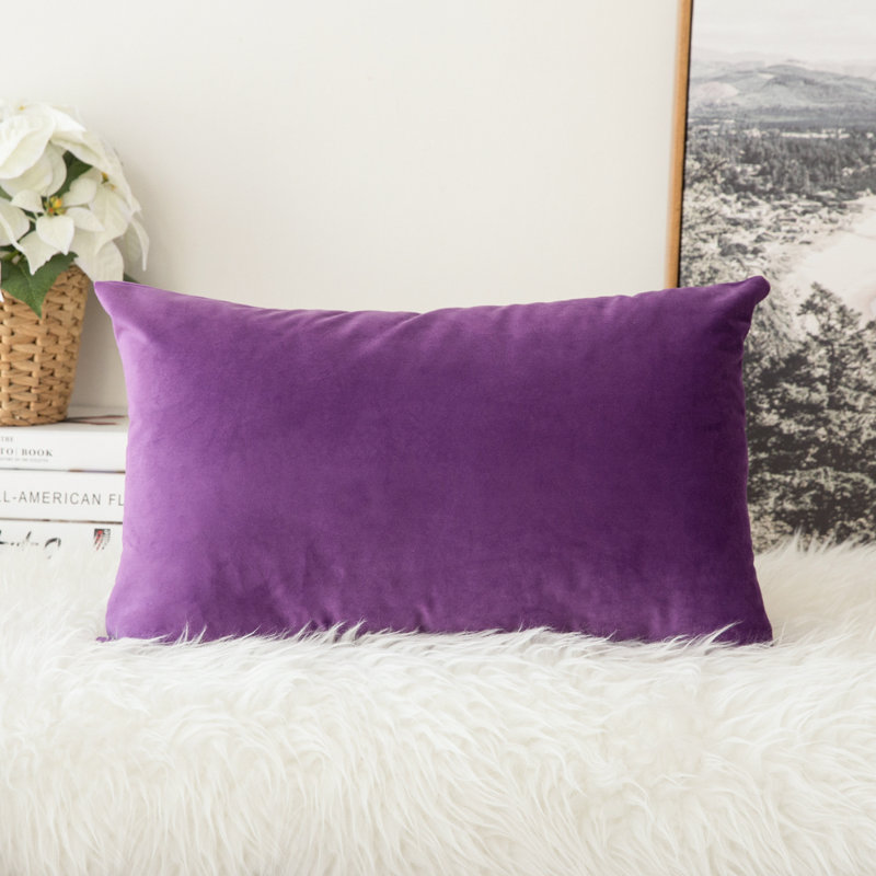  Housse et insert de coussin carré en velours, Violet, H 14 po x l 20 po x P 1 po, Housse de coussin seulement - sans coussin