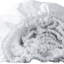 Drap-housse en lin blanc