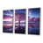 Silver Floater Framed