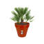 Pot Planter-70015824-127113574
