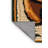 Washable Sun Bear Wildlife Area Rug-915135362