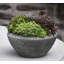 Handmade Planter-138385883