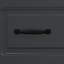 Accent Chest-1738711909