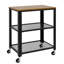 Aleese Metal Bar Cart