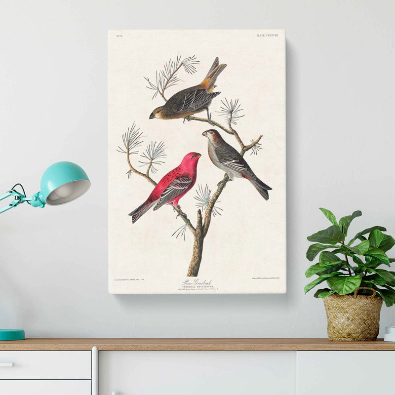 Pine Grosbeak Birds by John Audubon - Wrapped Canvas, 60cm H x 40cm W x 3cm D