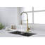Robinet de cuisine avec douchette extractible